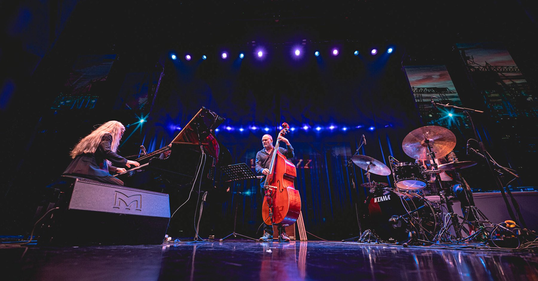 Mein Schiff meets Elbjazz