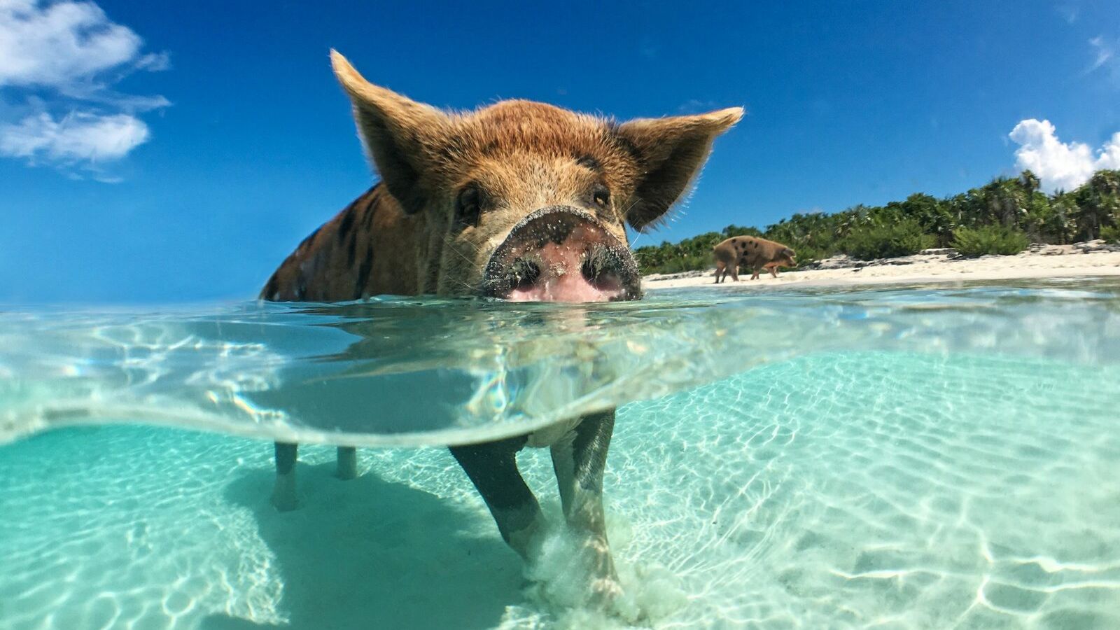 Bahamas