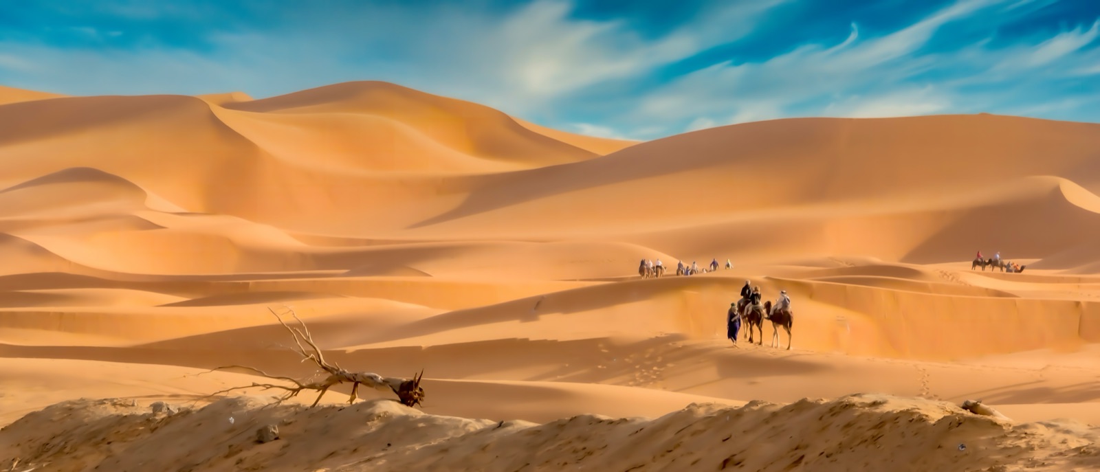 Arabisches Küstenabenteuer