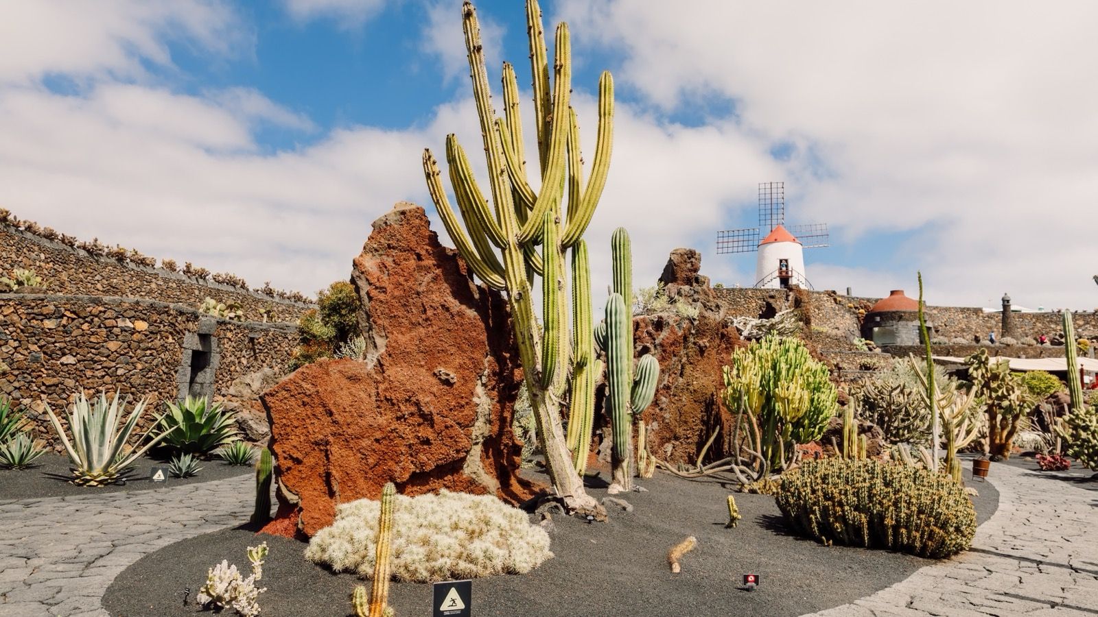 Transatlantik: Santa Cruz (Teneriffa) bis Civitavecchia (Rom) (17N)