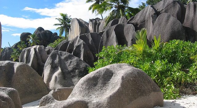 Kapstadt,Mauritius…..