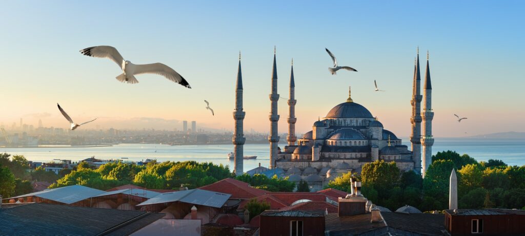 Mosque and Bosphorus in Istanbul