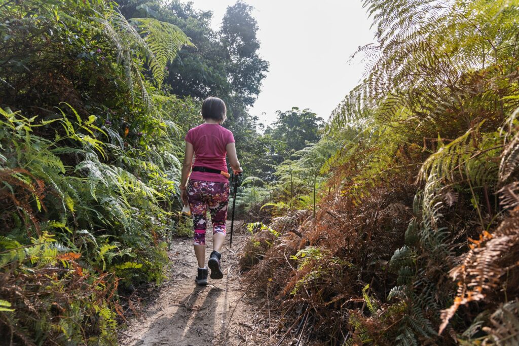 Single woman exercising by hiking in tropical rainforest in the morning