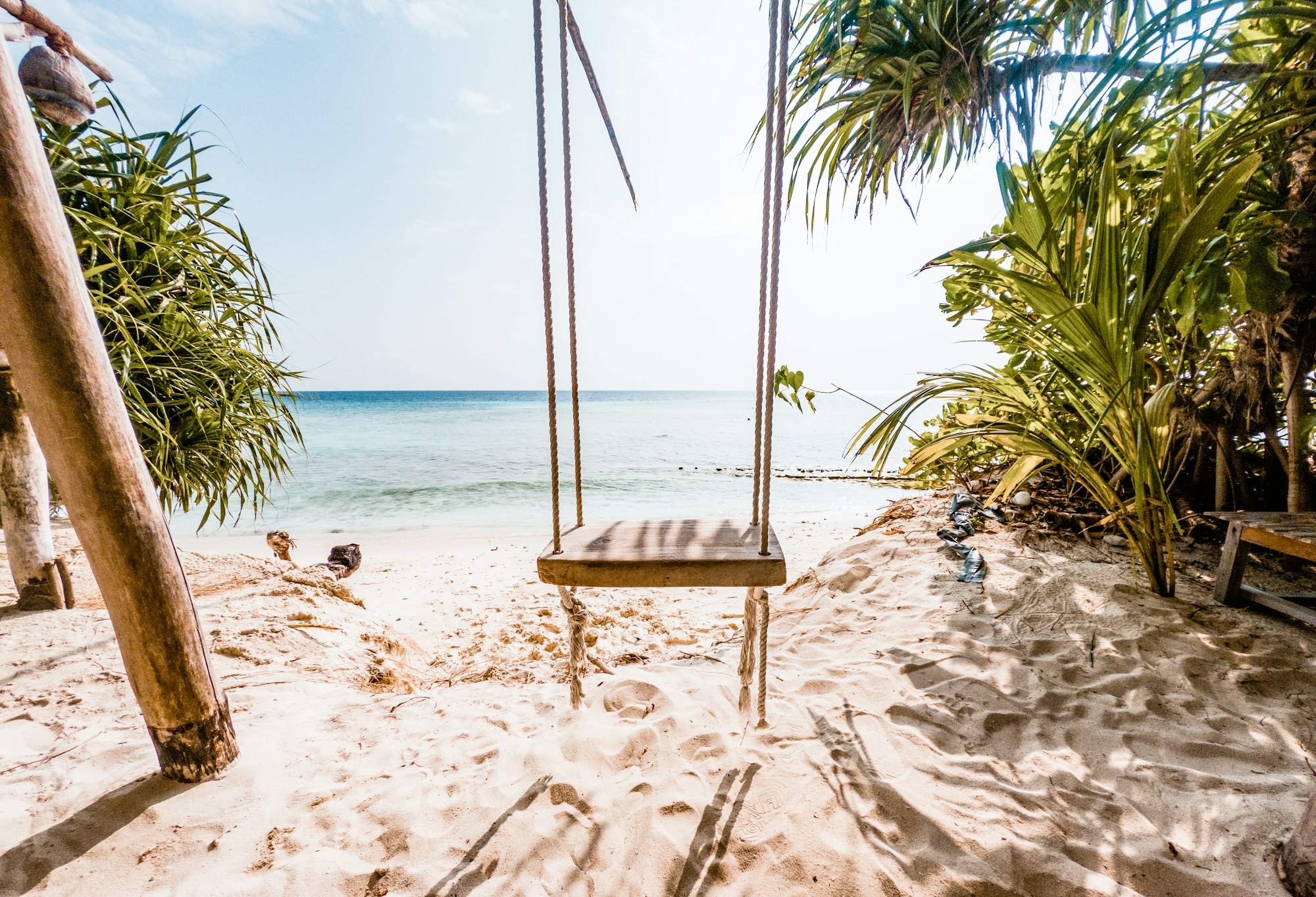 swing on a tropical beach summer fun