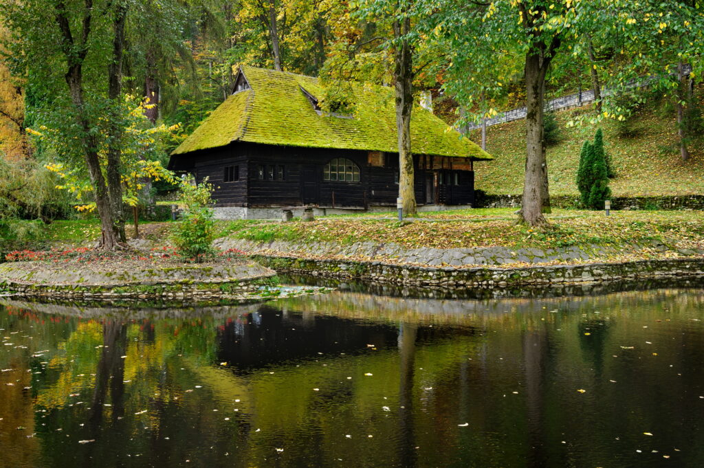 wooden house with moss on roof